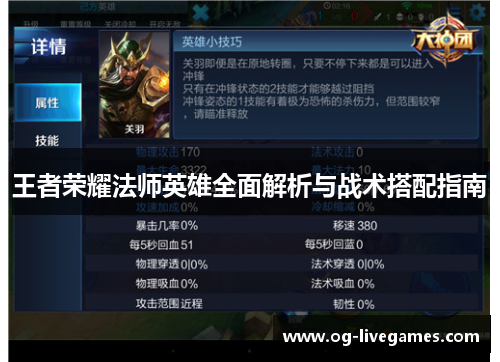 王者荣耀法师英雄全面解析与战术搭配指南