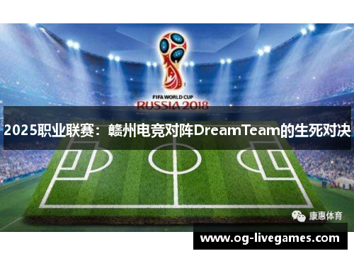 2025职业联赛：赣州电竞对阵DreamTeam的生死对决